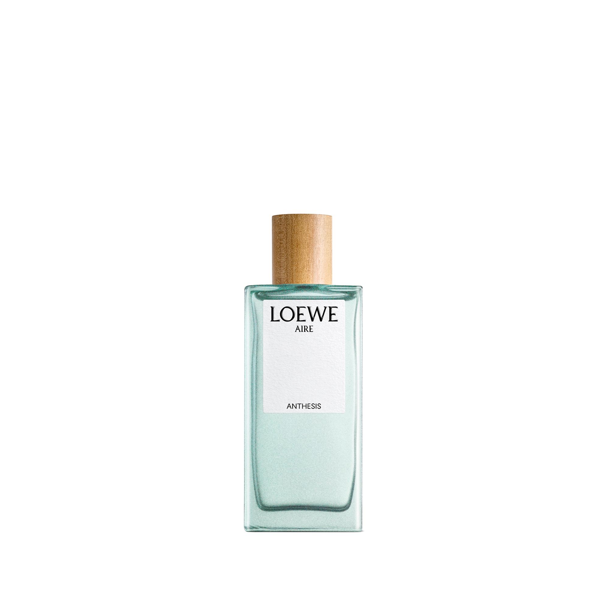 LOEWE AIRE ANTHESIS
