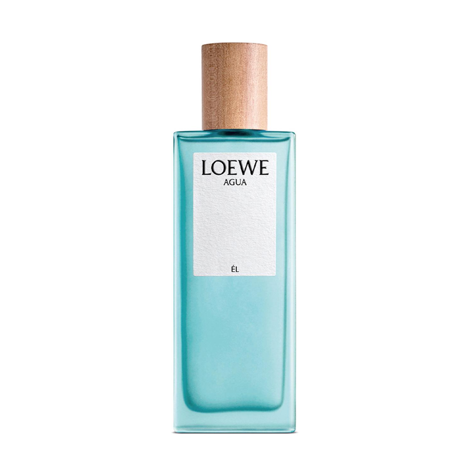 EDTV LOEWE AGUA EL