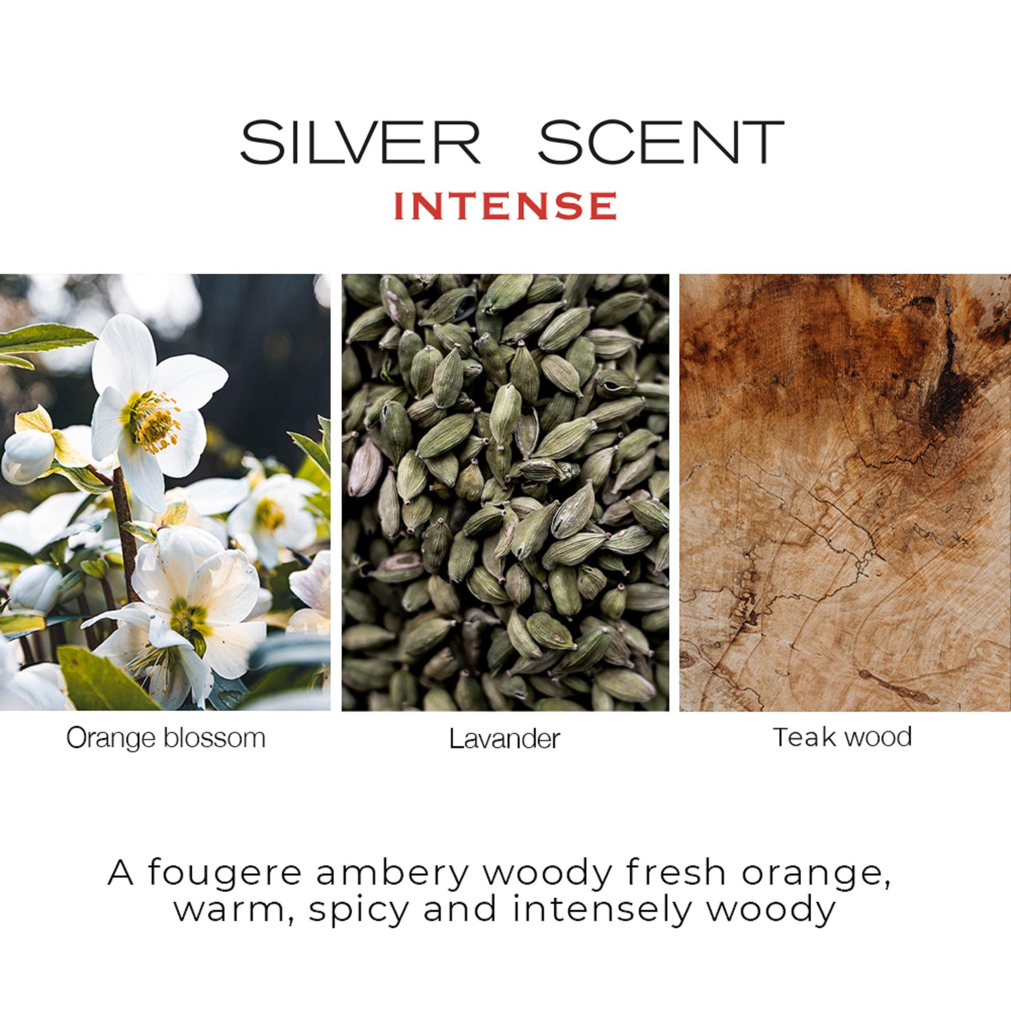 Silver scent intense