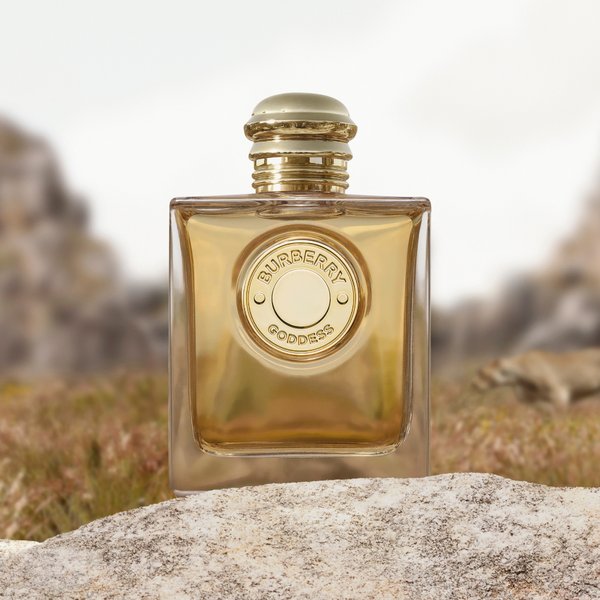 burberry parfum femme prix